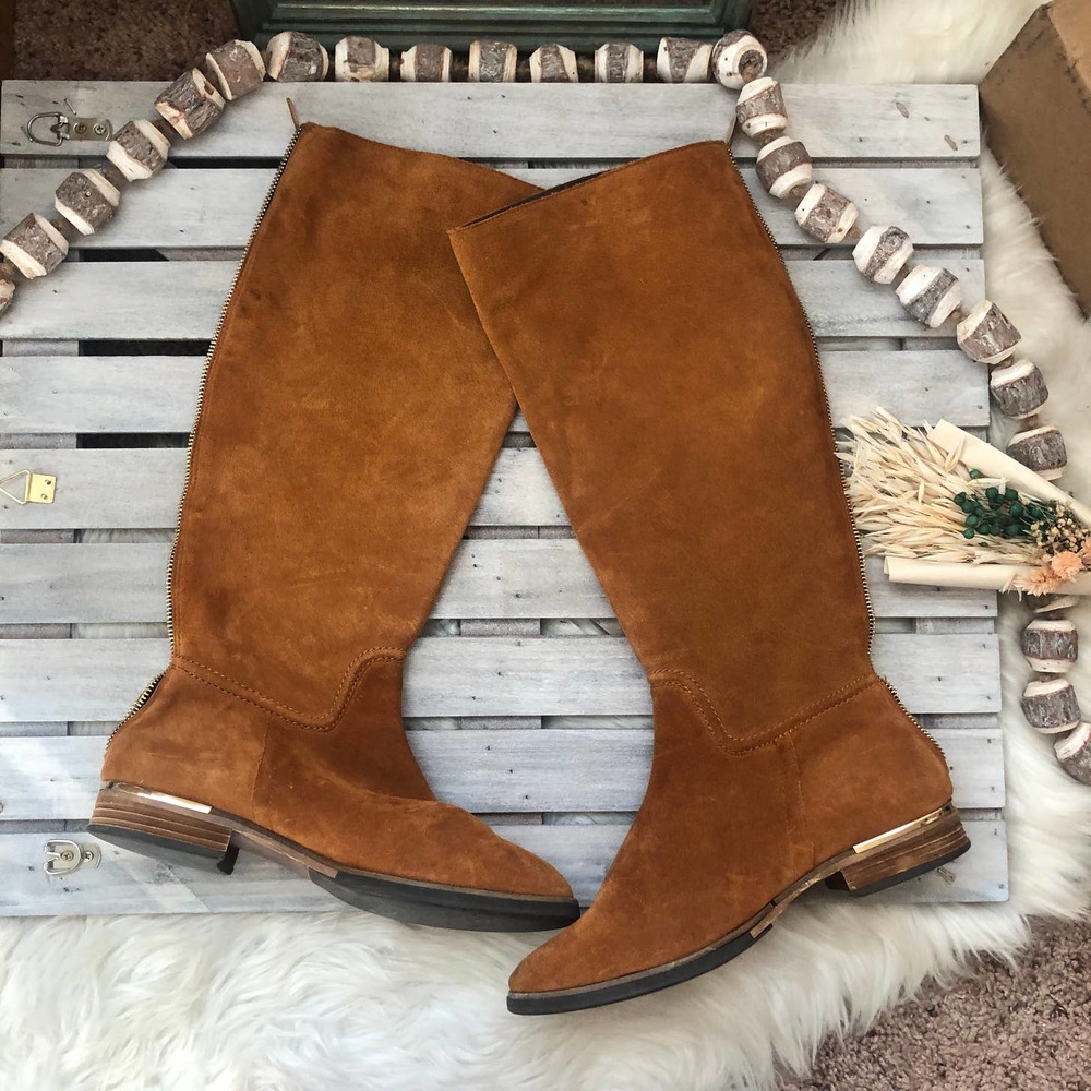 Modern Vice Charm Suede Zipper Tall Boots - Picture 3 of 9